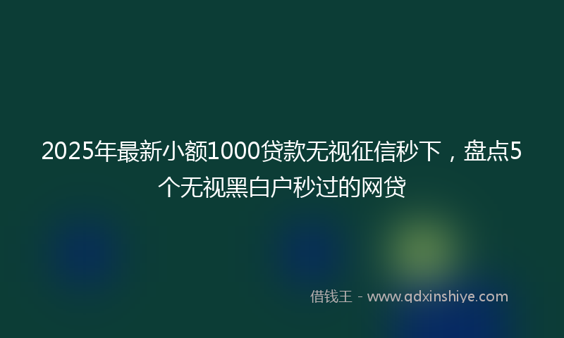 2025年最新小额1000贷款无视征信秒下，盘点5个无视黑白户秒过的网贷