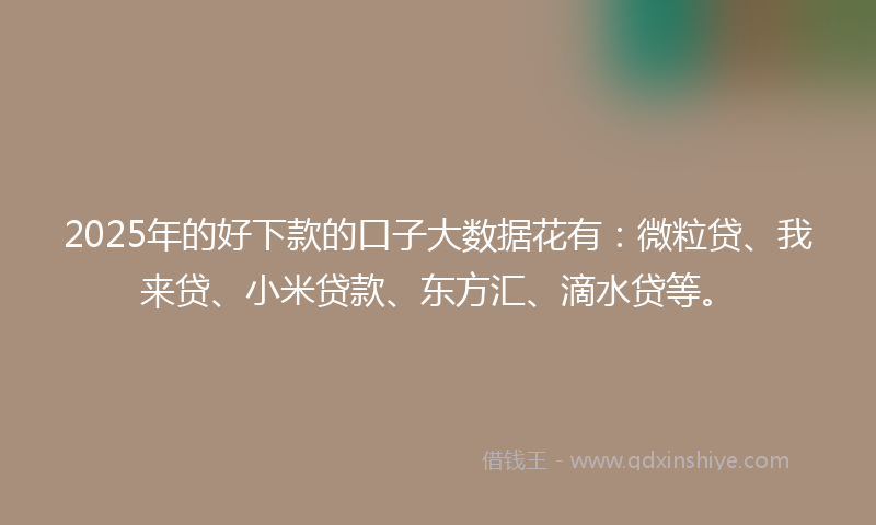 2025年的好下款的口子大数据花有：微粒贷、我来贷、小米贷款、东方汇、滴水贷等。