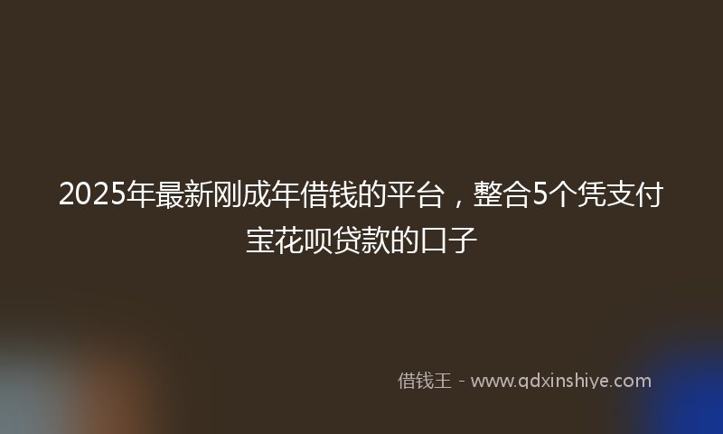 2025年最新刚成年借钱的平台，整合5个凭支付宝花呗贷款的口子