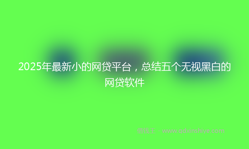 2025年最新小的网贷平台，总结五个无视黑白的网贷软件
