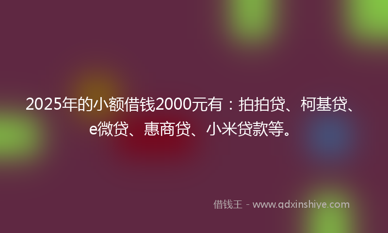 2025年的小额借钱2000元有：拍拍贷、柯基贷、e微贷、惠商贷、小米贷款等。
