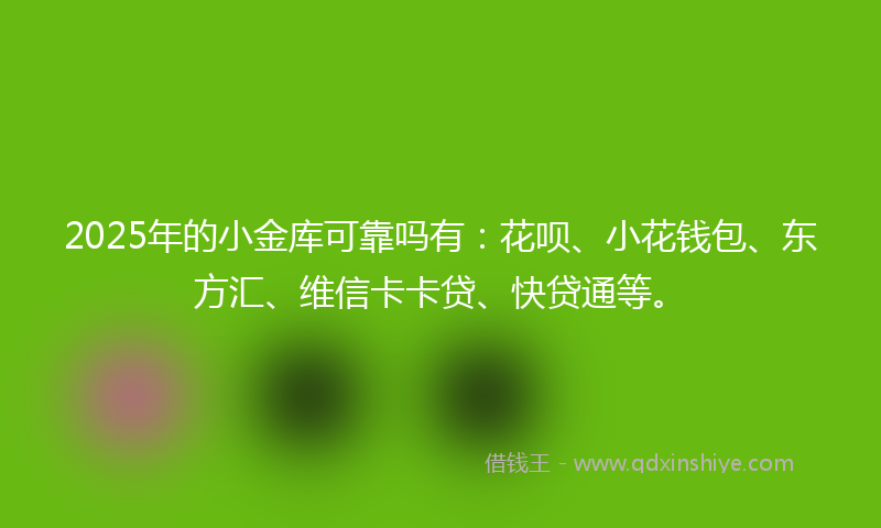 2025年的小金库可靠吗有：花呗、小花钱包、东方汇、维信卡卡贷、快贷通等。