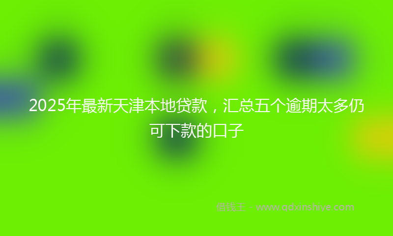2025年最新天津本地贷款，汇总五个逾期太多仍可下款的口子