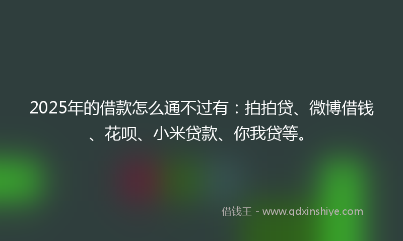 2025年的借款怎么通不过有：拍拍贷、微博借钱、花呗、小米贷款、你我贷等。