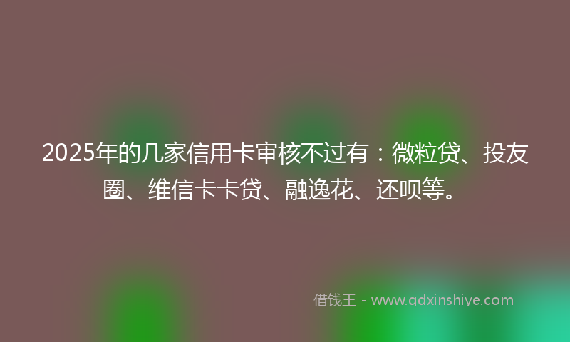 2025年的几家信用卡审核不过有：微粒贷、投友圈、维信卡卡贷、融逸花、还呗等。