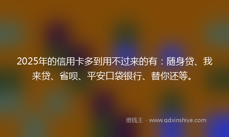2025年的信用卡多到用不过来的有：随身贷、我来贷、省呗、平安口袋银行、替你还等。