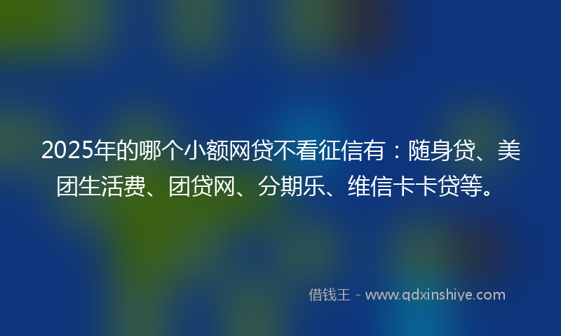 2025年的哪个小额网贷不看征信有：随身贷、美团生活费、团贷网、分期乐、维信卡卡贷等。
