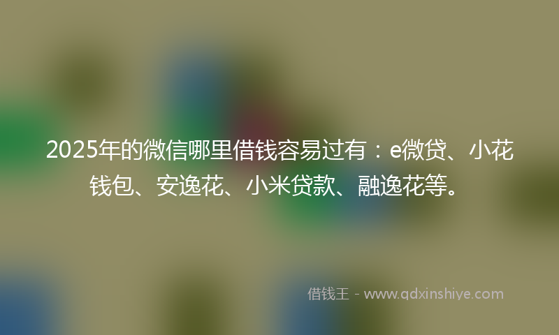 2025年的微信哪里借钱容易过有：e微贷、小花钱包、安逸花、小米贷款、融逸花等。