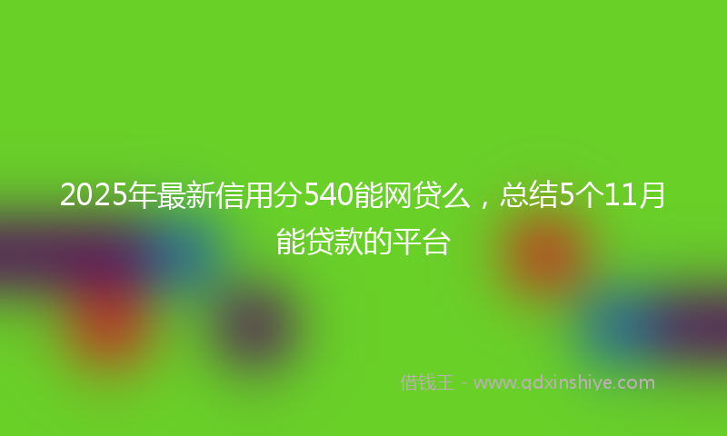 2025年最新信用分540能网贷么，总结5个11月能贷款的平台