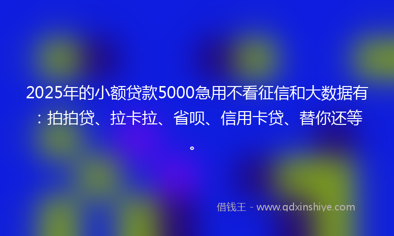 2025年的小额贷款5000急用不看征信和大数据有：拍拍贷、拉卡拉、省呗、信用卡贷、替你还等。