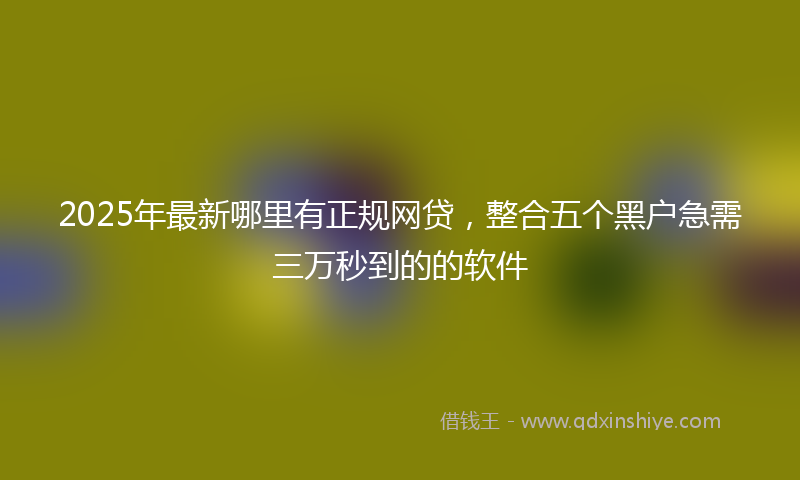 2025年最新哪里有正规网贷，整合五个黑户急需三万秒到的的软件
