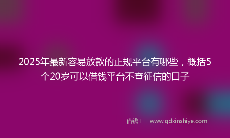 2025年最新容易放款的正规平台有哪些，概括5个20岁可以借钱平台不查征信的口子