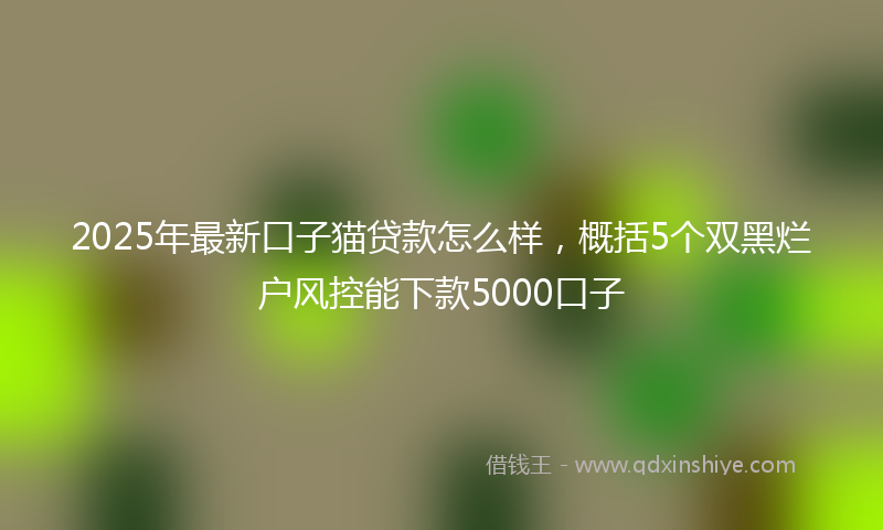 2025年最新口子猫贷款怎么样，概括5个双黑烂户风控能下款5000口子