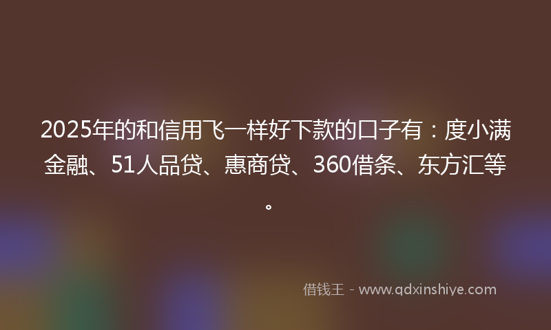 2025年的和信用飞一样好下款的口子有：度小满金融、51人品贷、惠商贷、360借条、东方汇等。