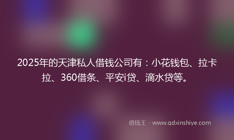 2025年的天津私人借钱公司有：小花钱包、拉卡拉、360借条、平安i贷、滴水贷等。