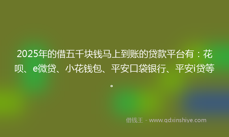 2025年的借五千块钱马上到账的贷款平台有：花呗、e微贷、小花钱包、平安口袋银行、平安i贷等。
