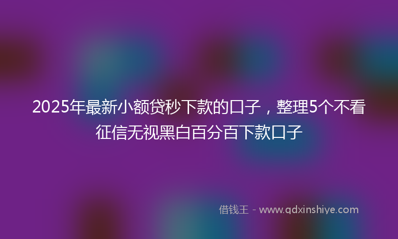 2025年最新小额贷秒下款的口子，整理5个不看征信无视黑白百分百下款口子