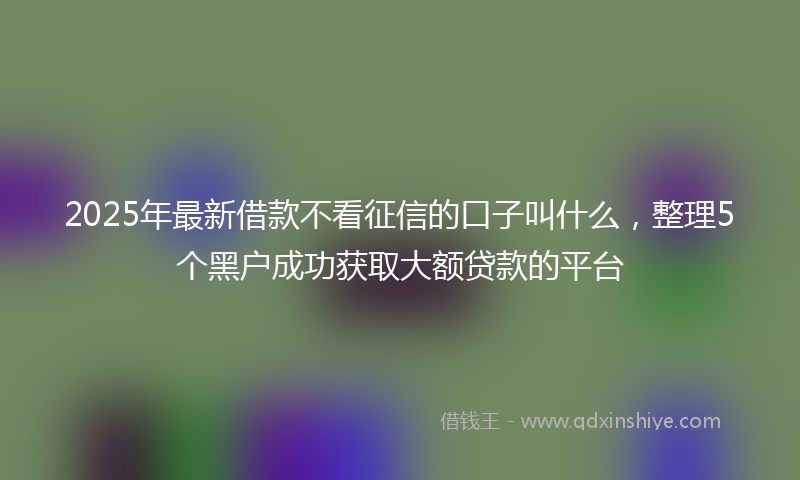 2025年最新借款不看征信的口子叫什么，整理5个黑户成功获取大额贷款的平台
