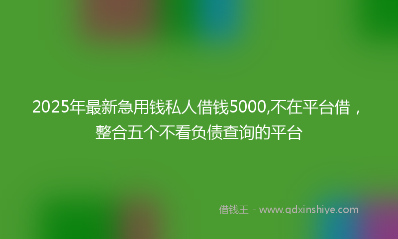 2025年最新急用钱私人借钱5000,不在平台借，整合五个不看负债查询的平台