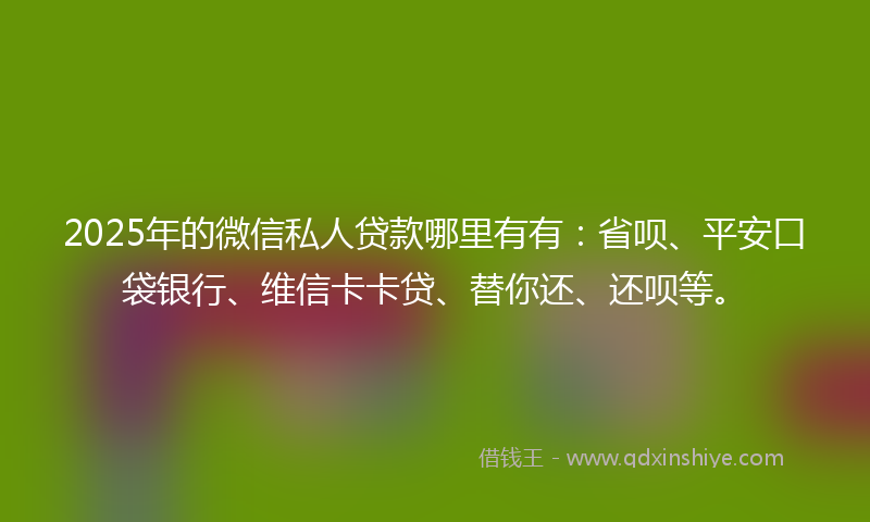 2025年的微信私人贷款哪里有有：省呗、平安口袋银行、维信卡卡贷、替你还、还呗等。