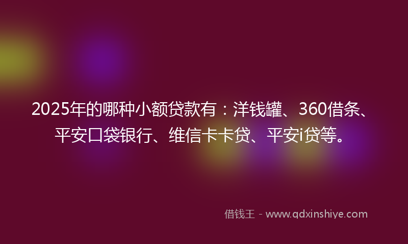 2025年的哪种小额贷款有：洋钱罐、360借条、平安口袋银行、维信卡卡贷、平安i贷等。