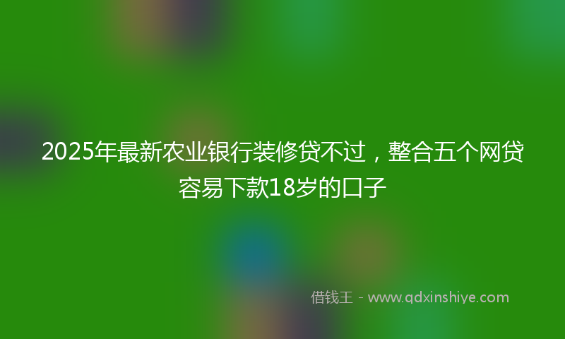 2025年最新农业银行装修贷不过，整合五个网贷容易下款18岁的口子