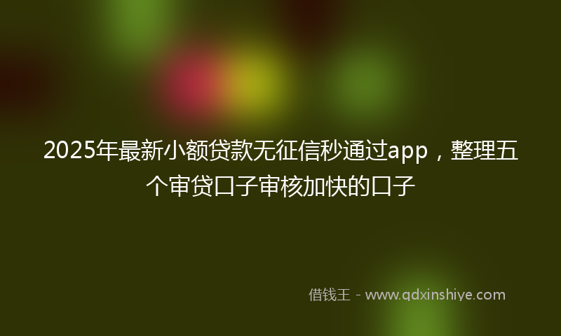 2025年最新小额贷款无征信秒通过app，整理五个审贷口子审核加快的口子