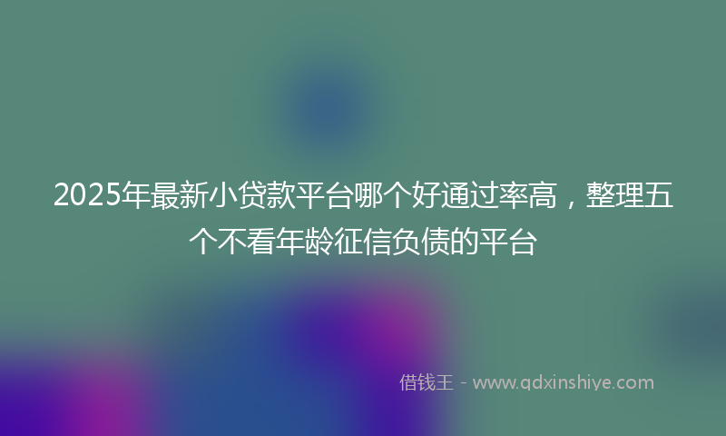 2025年最新小贷款平台哪个好通过率高，整理五个不看年龄征信负债的平台