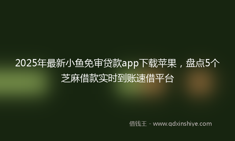 2025年最新小鱼免审贷款app下载苹果，盘点5个芝麻借款实时到账速借平台