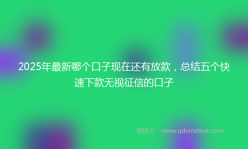 2025年最新哪个口子现在还有放款，总结五个快速下款无视征信的口子