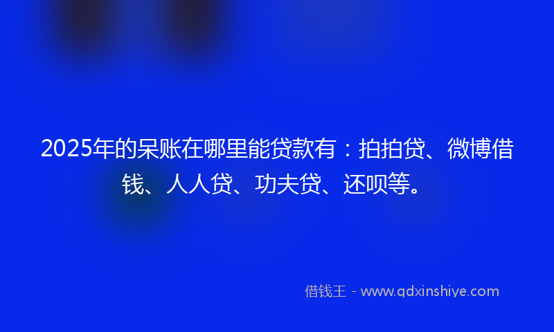 2025年的呆账在哪里能贷款有：拍拍贷、微博借钱、人人贷、功夫贷、还呗等。
