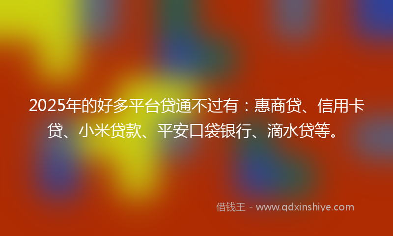 2025年的好多平台贷通不过有：惠商贷、信用卡贷、小米贷款、平安口袋银行、滴水贷等。
