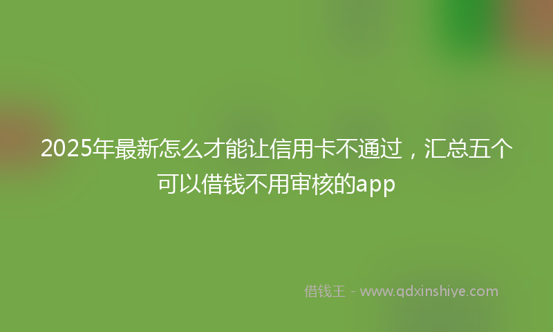 2025年最新怎么才能让信用卡不通过，汇总五个可以借钱不用审核的app