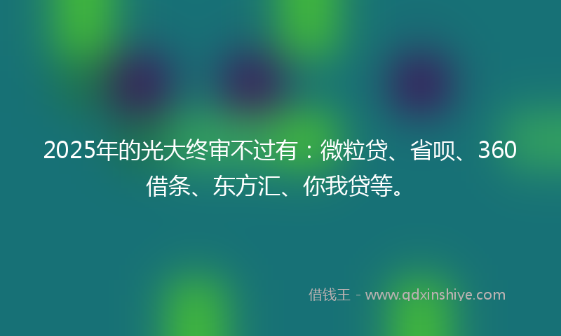 2025年的光大终审不过有：微粒贷、省呗、360借条、东方汇、你我贷等。