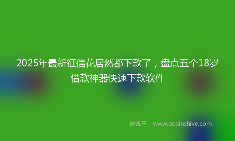2025年最新征信花居然都下款了，盘点五个18岁借款神器快速下款软件