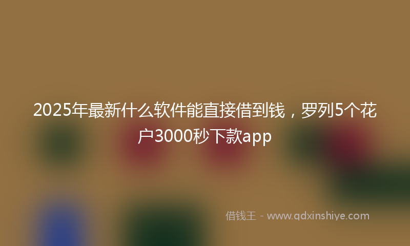 2025年最新什么软件能直接借到钱，罗列5个花户3000秒下款app