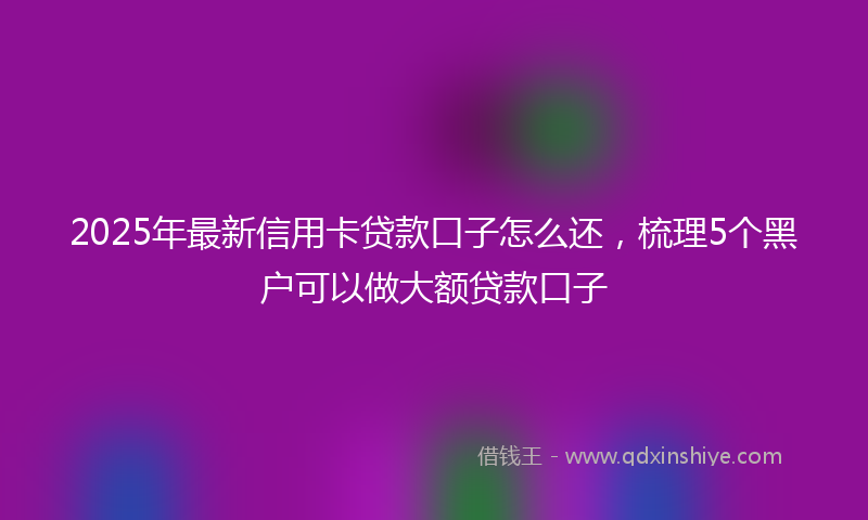 2025年最新信用卡贷款口子怎么还，梳理5个黑户可以做大额贷款口子