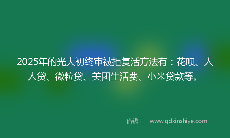 2025年的光大初终审被拒复活方法有：花呗、人人贷、微粒贷、美团生活费、小米贷款等。