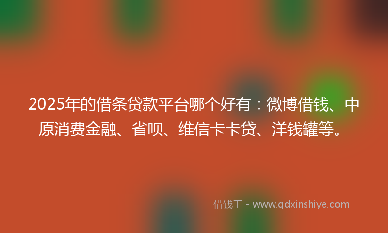 2025年的借条贷款平台哪个好有：微博借钱、中原消费金融、省呗、维信卡卡贷、洋钱罐等。