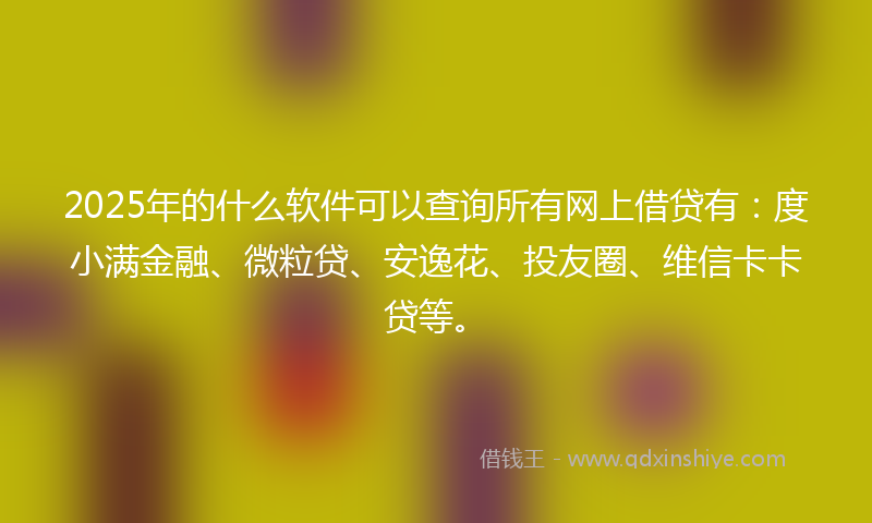 2025年的什么软件可以查询所有网上借贷有：度小满金融、微粒贷、安逸花、投友圈、维信卡卡贷等。