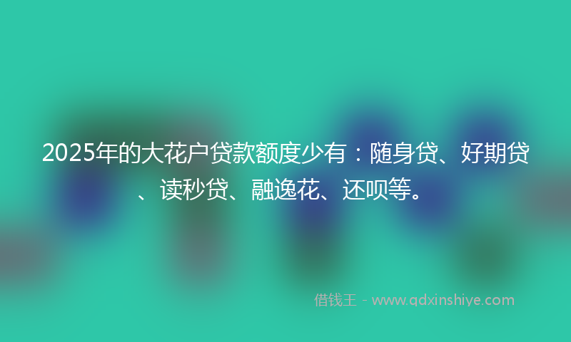 2025年的大花户贷款额度少有：随身贷、好期贷、读秒贷、融逸花、还呗等。