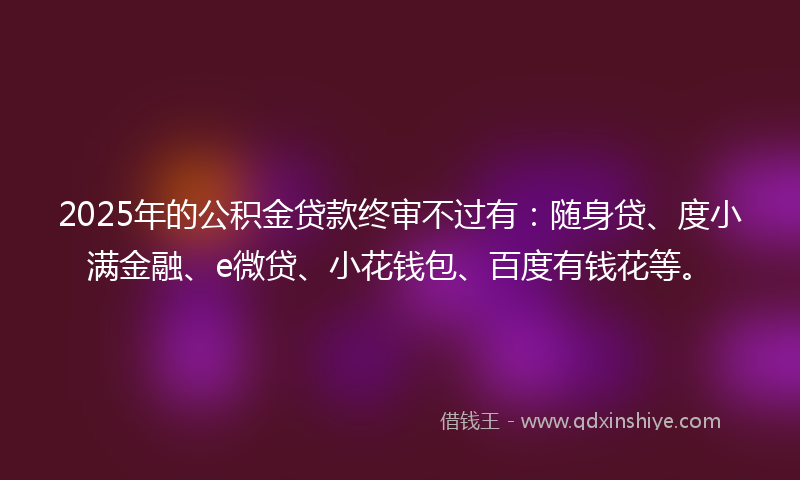 2025年的公积金贷款终审不过有：随身贷、度小满金融、e微贷、小花钱包、百度有钱花等。