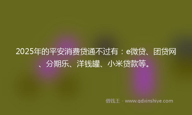2025年的平安消费贷通不过有：e微贷、团贷网、分期乐、洋钱罐、小米贷款等。