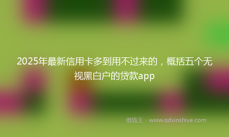 2025年最新信用卡多到用不过来的，概括五个无视黑白户的贷款app