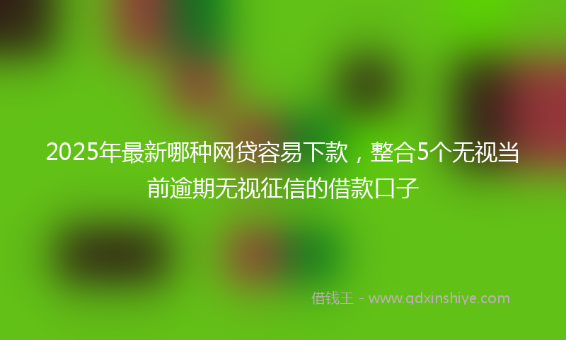 2025年最新哪种网贷容易下款，整合5个无视当前逾期无视征信的借款口子