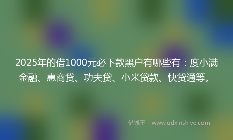 2025年的借1000元必下款黑户有哪些有：度小满金融、惠商贷、功夫贷、小米贷款、快贷通等。