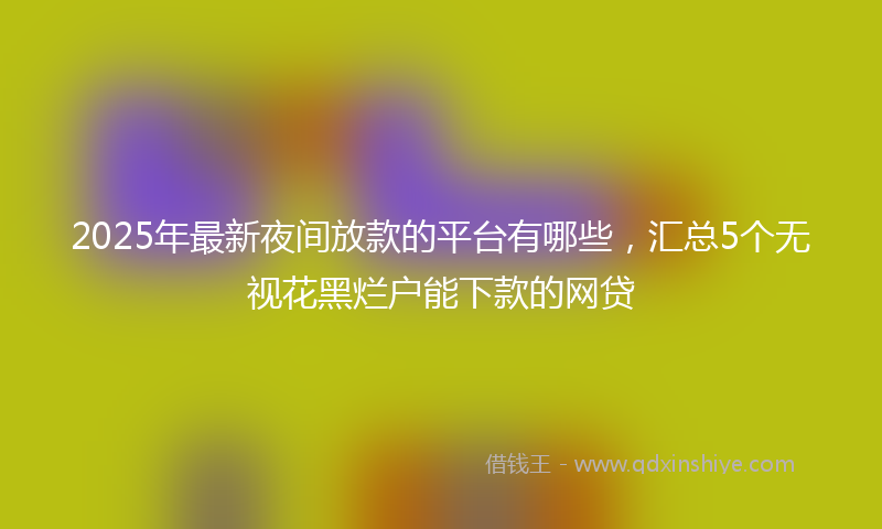 2025年最新夜间放款的平台有哪些，汇总5个无视花黑烂户能下款的网贷