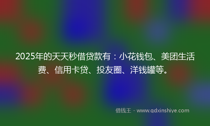 2025年的天天秒借贷款有：小花钱包、美团生活费、信用卡贷、投友圈、洋钱罐等。