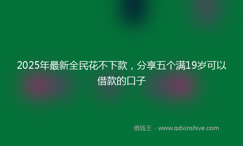 2025年最新全民花不下款，分享五个满19岁可以借款的口子