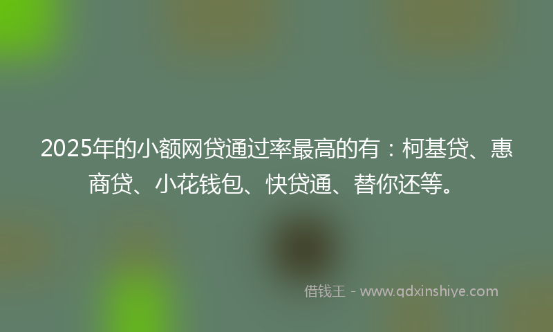 2025年的小额网贷通过率最高的有：柯基贷、惠商贷、小花钱包、快贷通、替你还等。